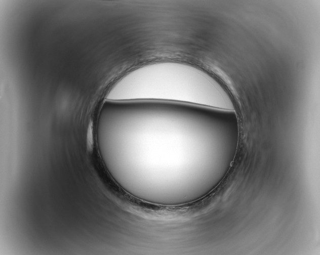X0000093770020200710160905