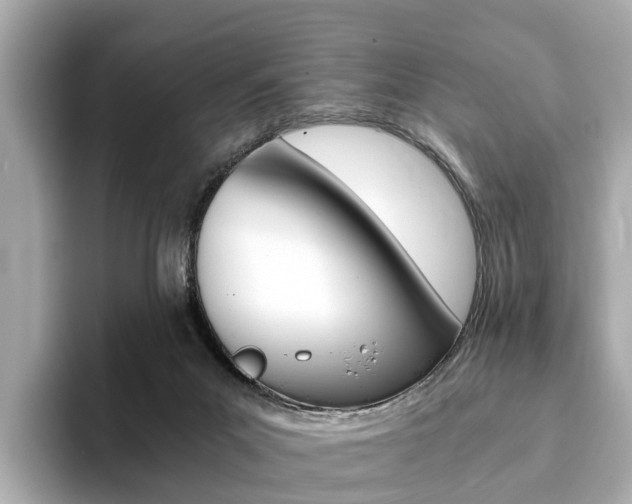 X0000093770023200710160905