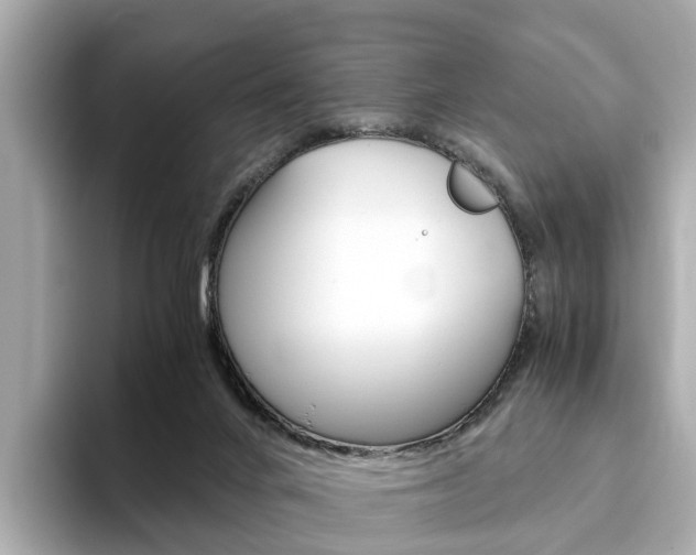 X0000093770024200710160905
