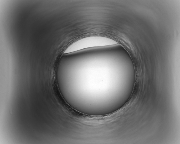 X0000093770029200710160905