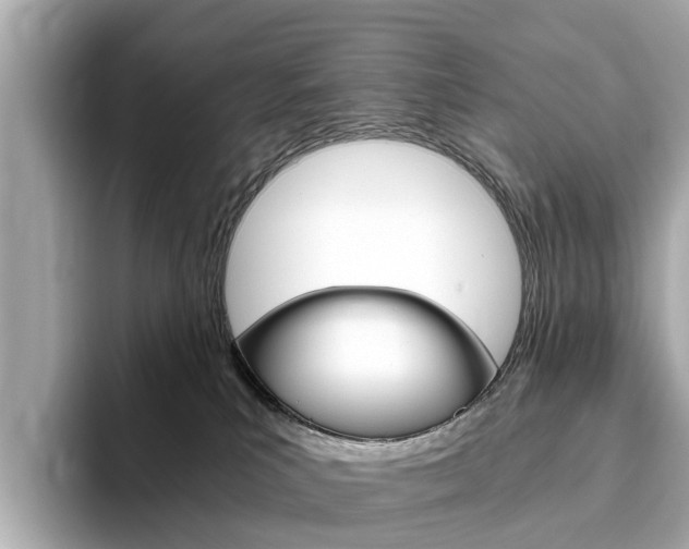 X0000093770039200710160905