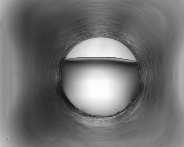X0000093770040200710160905