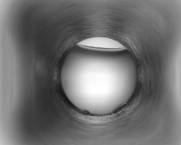 X0000093770044200710160905