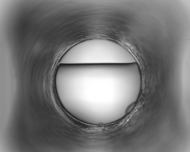 X0000093770049200710160904