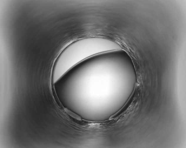 X0000093770052200710160904