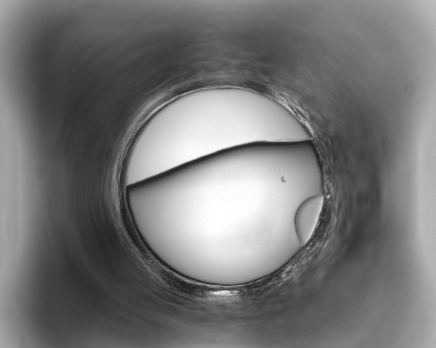 X0000093770053200710160904