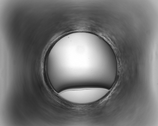 X0000093770055200710160904