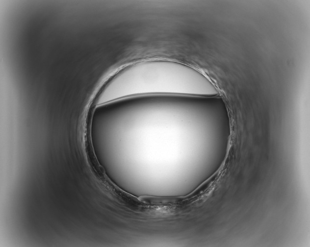 X0000093770056200710160904