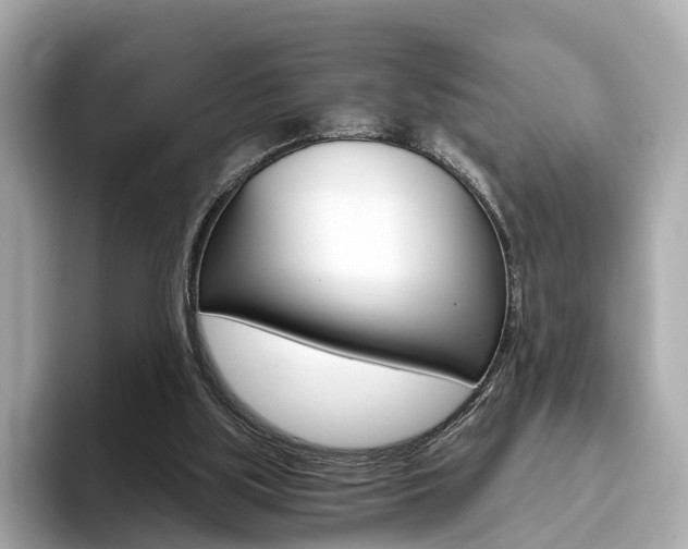 X0000093770059200710160904