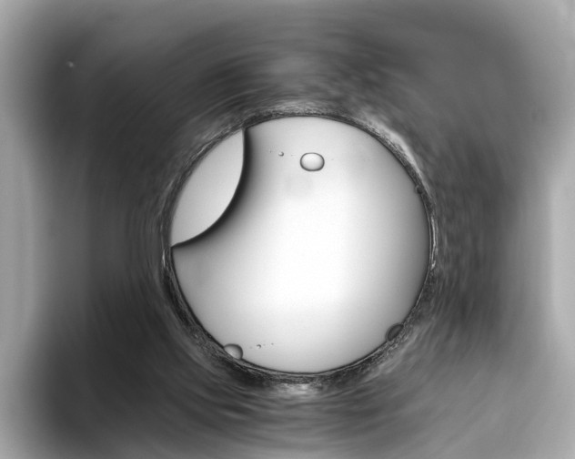 X0000093770061200710160905