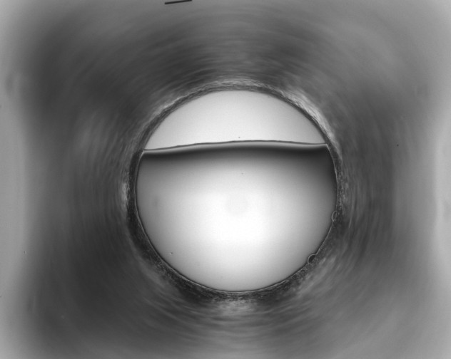 X0000093770063200710160905