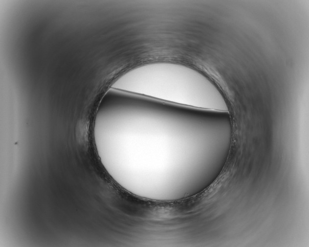 X0000093770066200710160905
