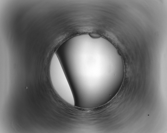 X0000093770068200710160905