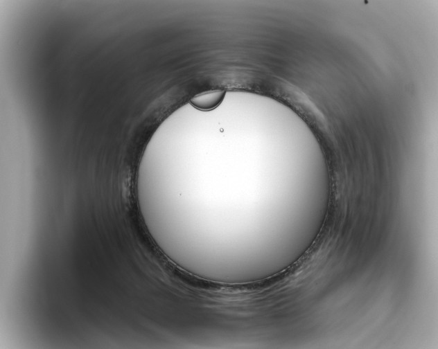 X0000093770073200710160905