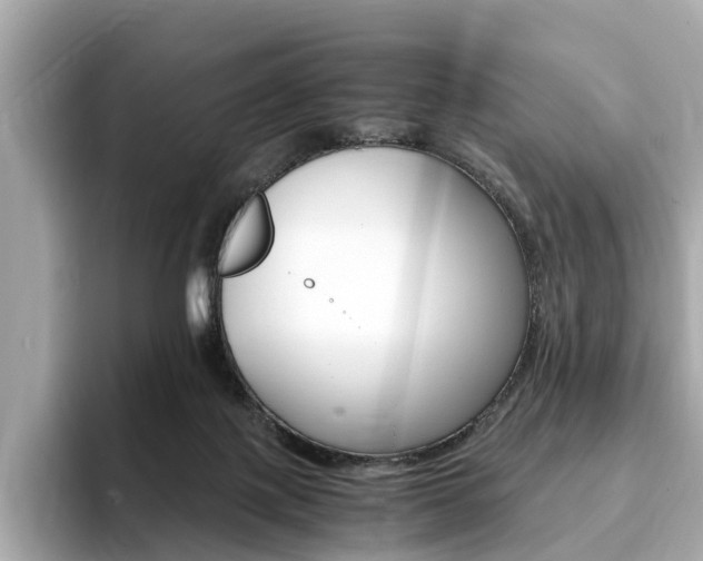 X0000093770075200710160905