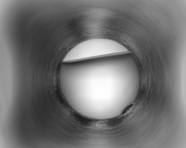 X0000093770078200710160905