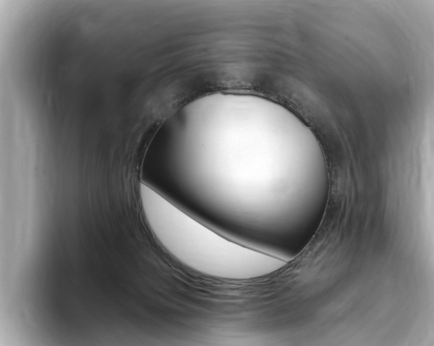 X0000093770084200710160905
