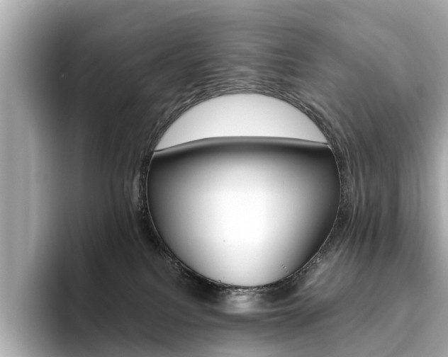 X0000093770088200710160905