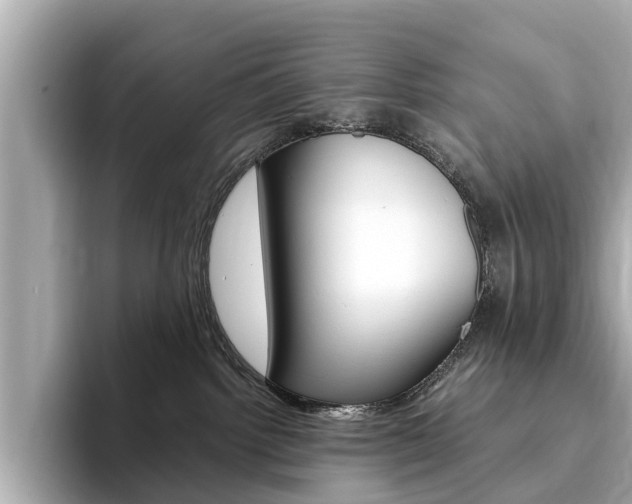 X0000093770092200710160905