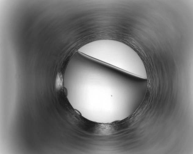 X0000093770095200710160905