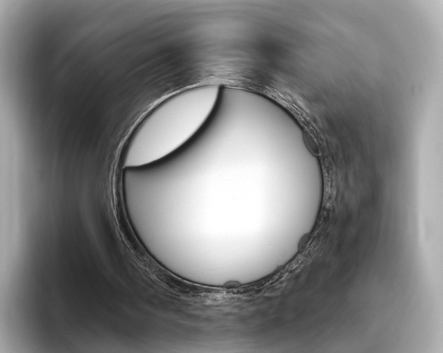 X0000093770098200710160904