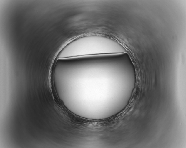 X0000093770100200710160904