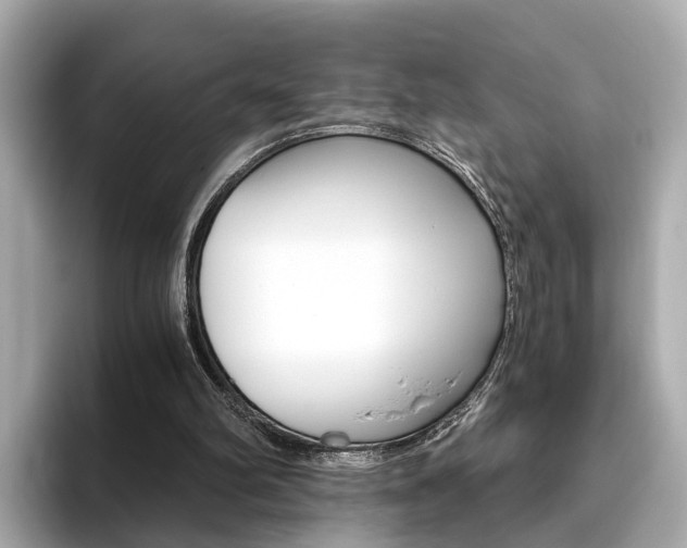 X0000093770102200710160904