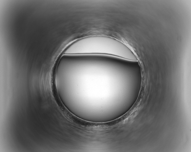 X0000093770103200710160904