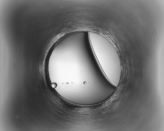 X0000093770104200710160904
