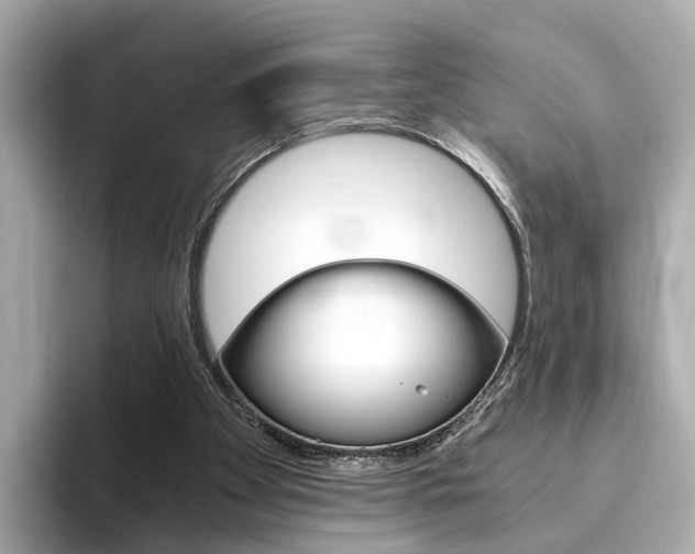 X0000093770105200710160904
