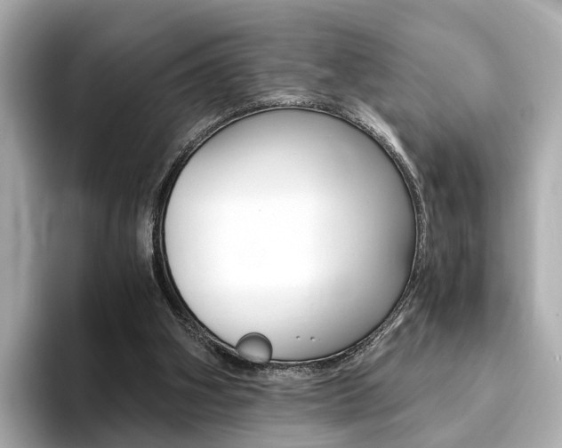 X0000093770106200710160904