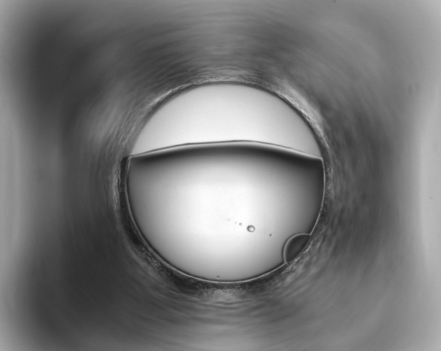 X0000093770107200710160904