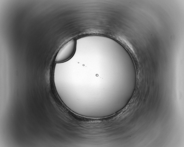 X0000093770108200710160904