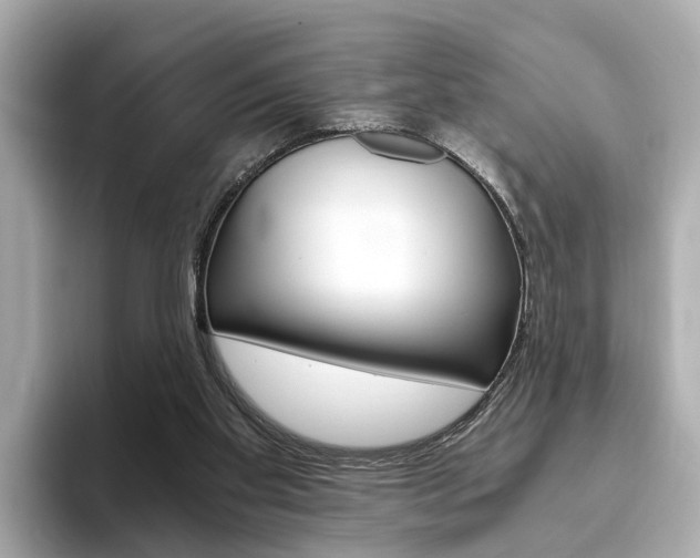 X0000093770109200710160904