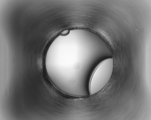 X0000093770112200710160904
