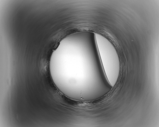 X0000093770125200710160904