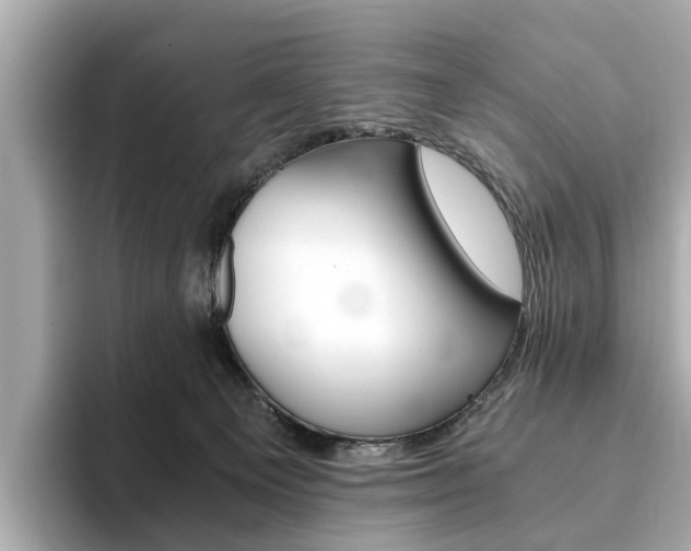 X0000093770129200710160904