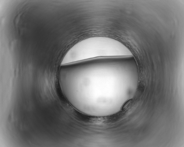 X0000093770131200710160904