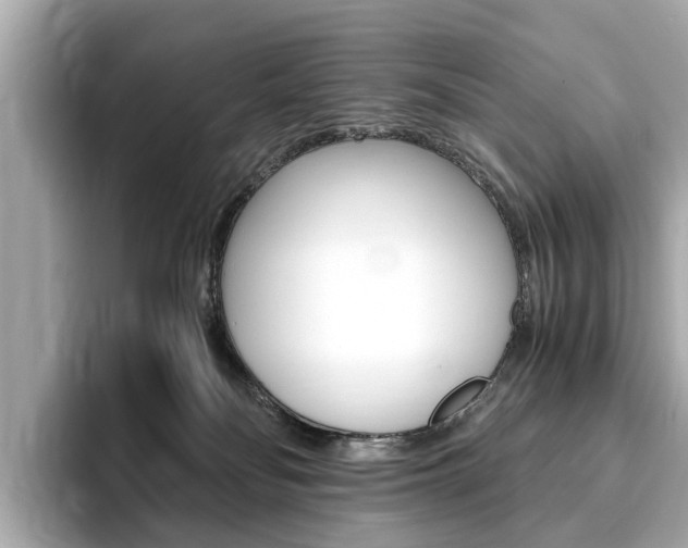 X0000093770134200710160904