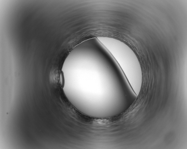 X0000093770137200710160904