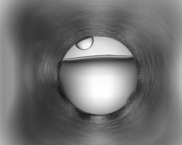X0000093770139200710160904