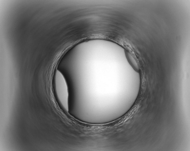 X0000093770145200710160903
