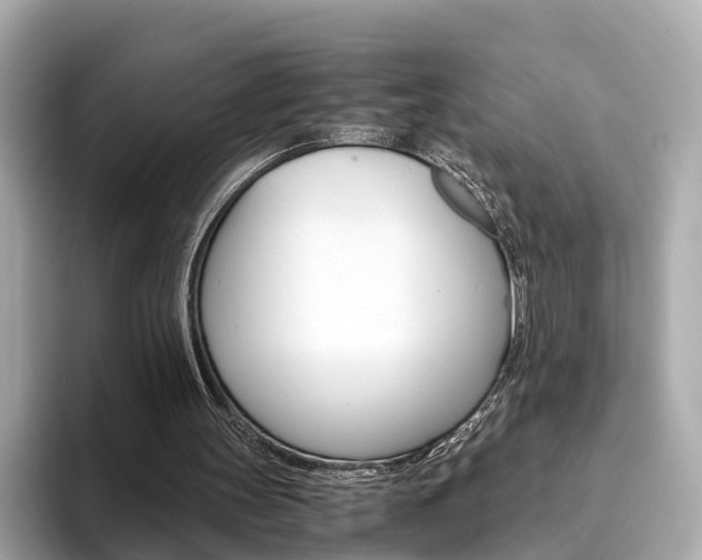 X0000093770147200710160903