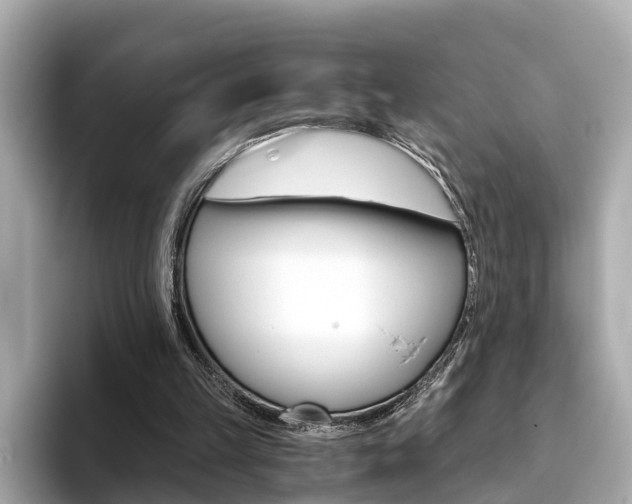 X0000093770149200710160903