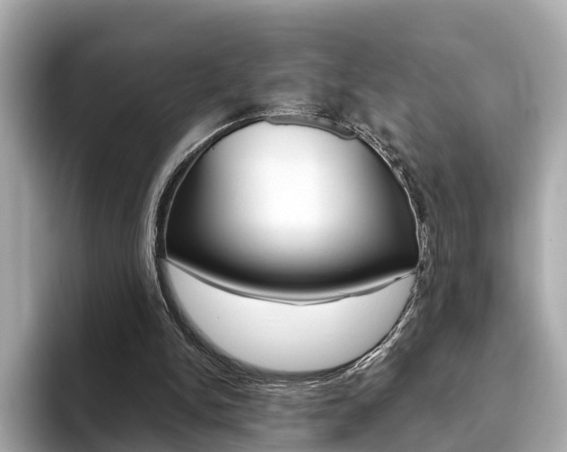 X0000093770150200710160903