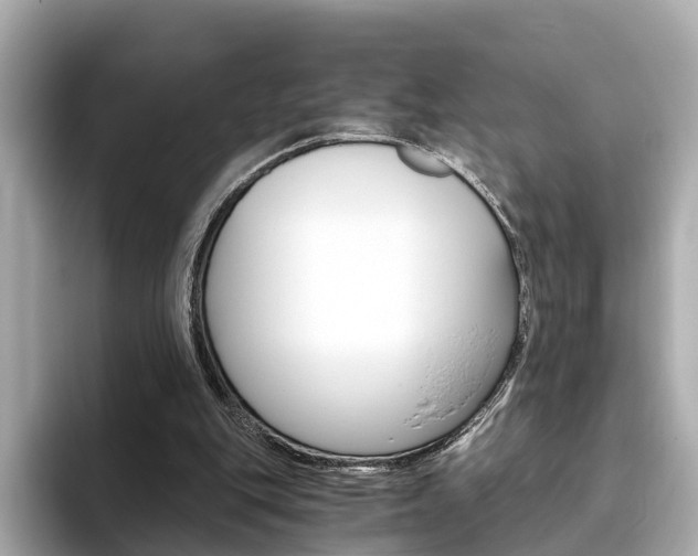 X0000093770151200710160903