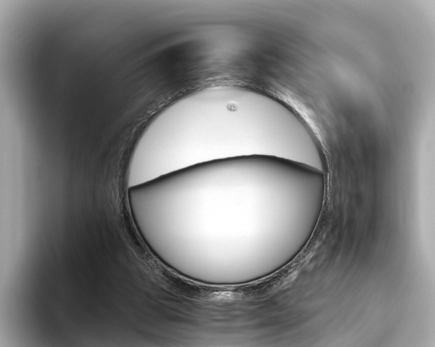 X0000093770153200710160903