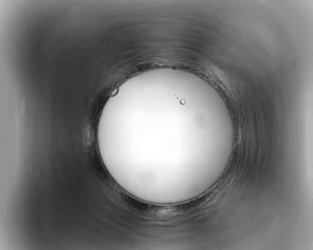 X0000093770173200710160903