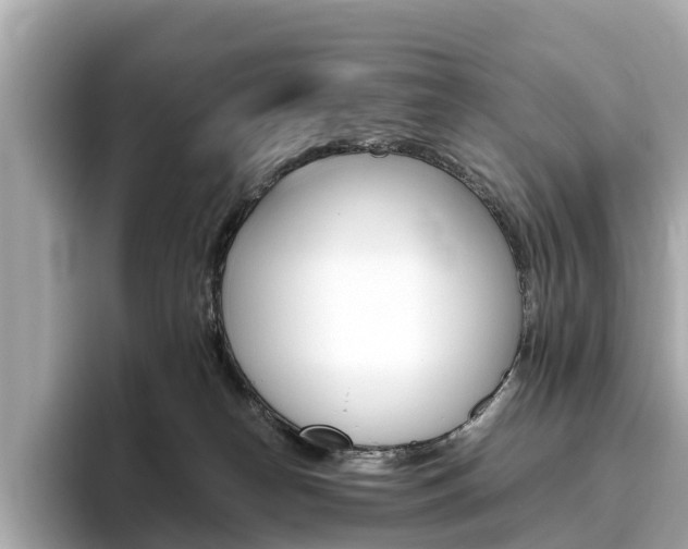 X0000093770182200710160904