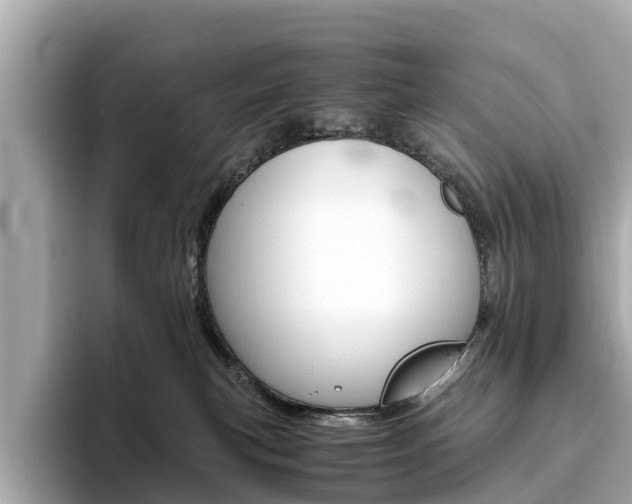 X0000093770183200710160904